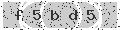 verify code